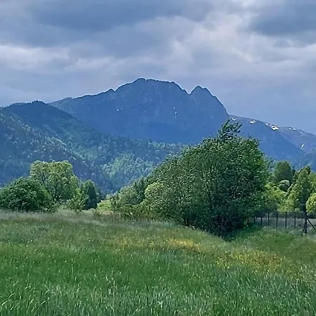 Pasieka - Goralskie Klimaty 扎科帕内