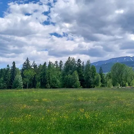 Pasieka - Goralskie Klimaty *