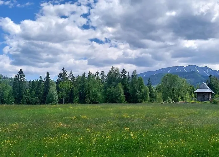 Pasieka - Goralskie Klimaty *